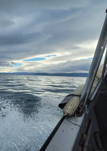 Close up of ocean spray during a boat expedition